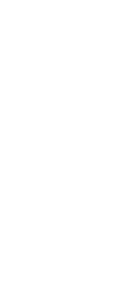 RPA connection lines